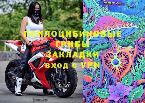 мескалин Богданович