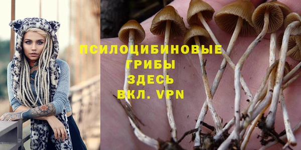 крисы Волосово