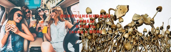 крисы Волосово