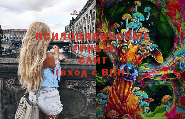 крисы Волосово