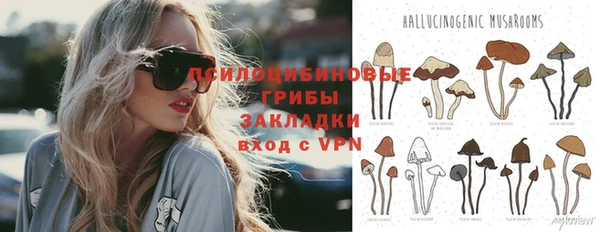 мдпв Володарск